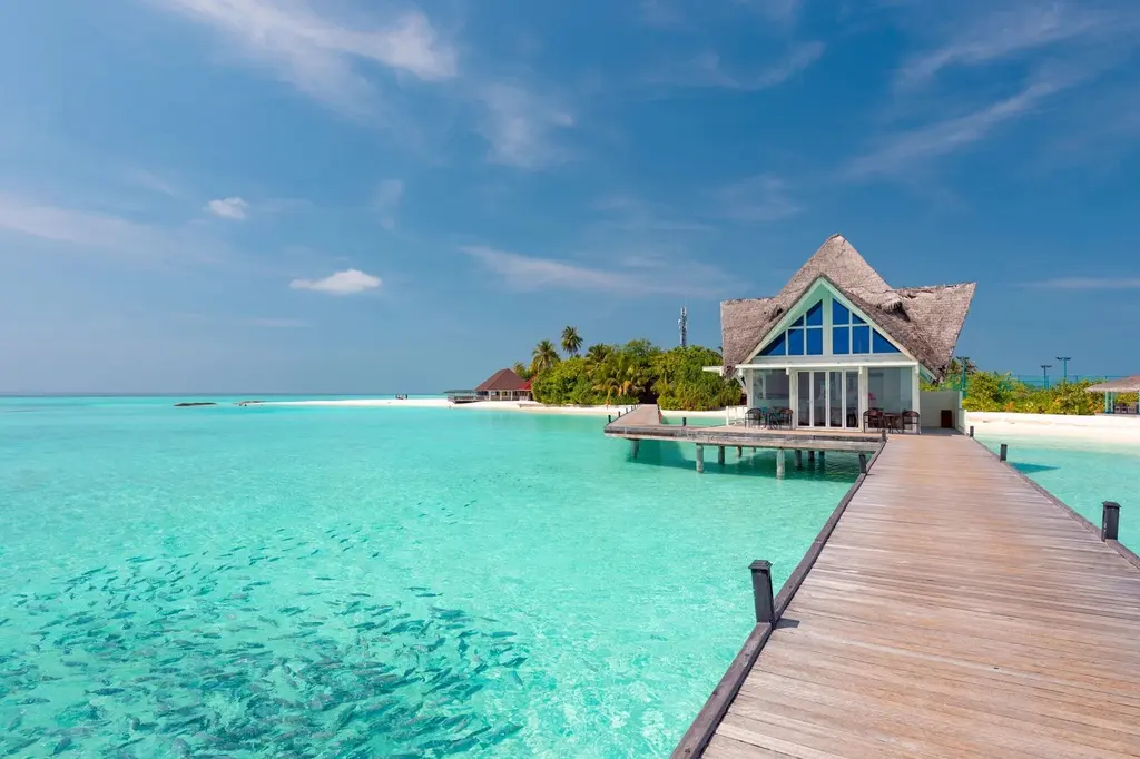 Dhigufaru Island Resort image 7