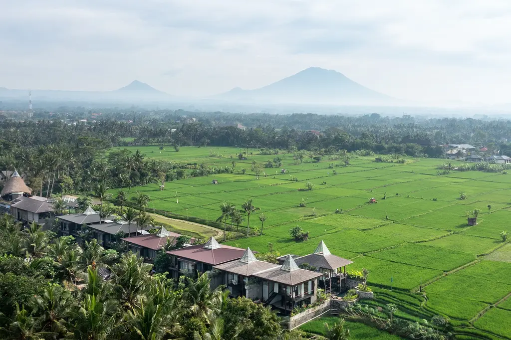 Gdas Bali Health and Wellness Resort image 15