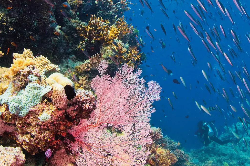 Freedom Shores image 15