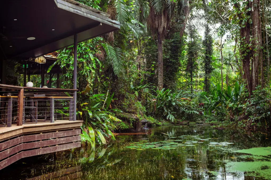 Daintree Ecolodge image 4
