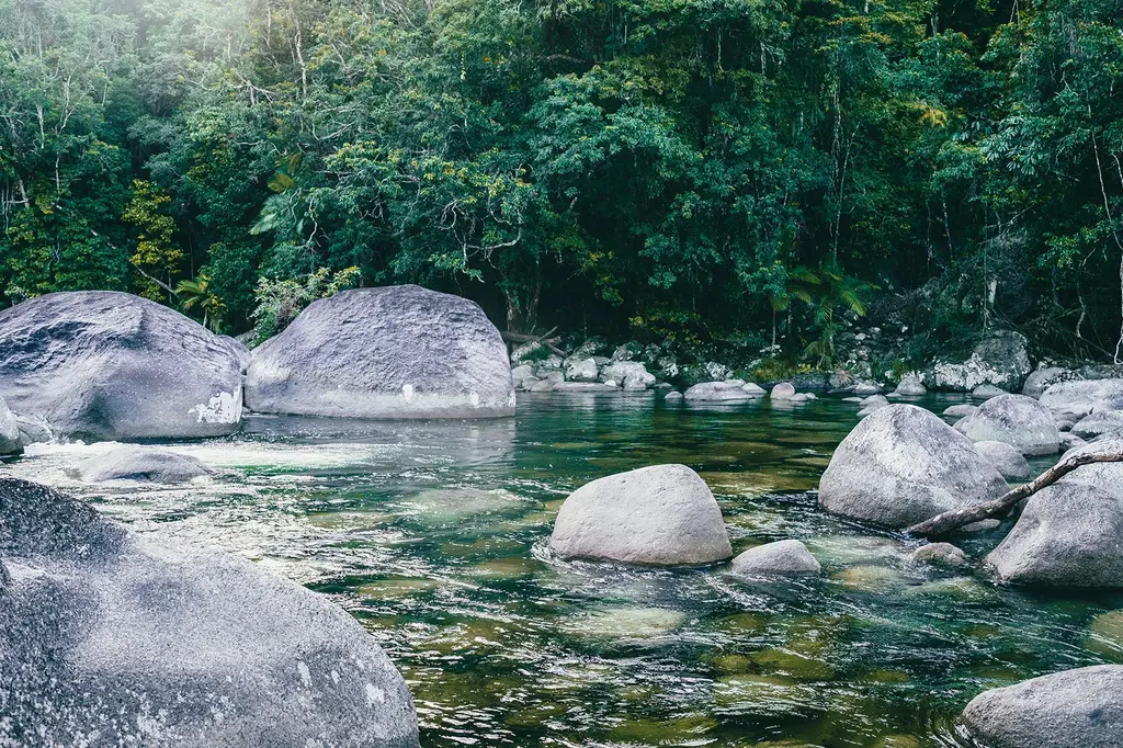 Pool Resort Port Douglas image 12