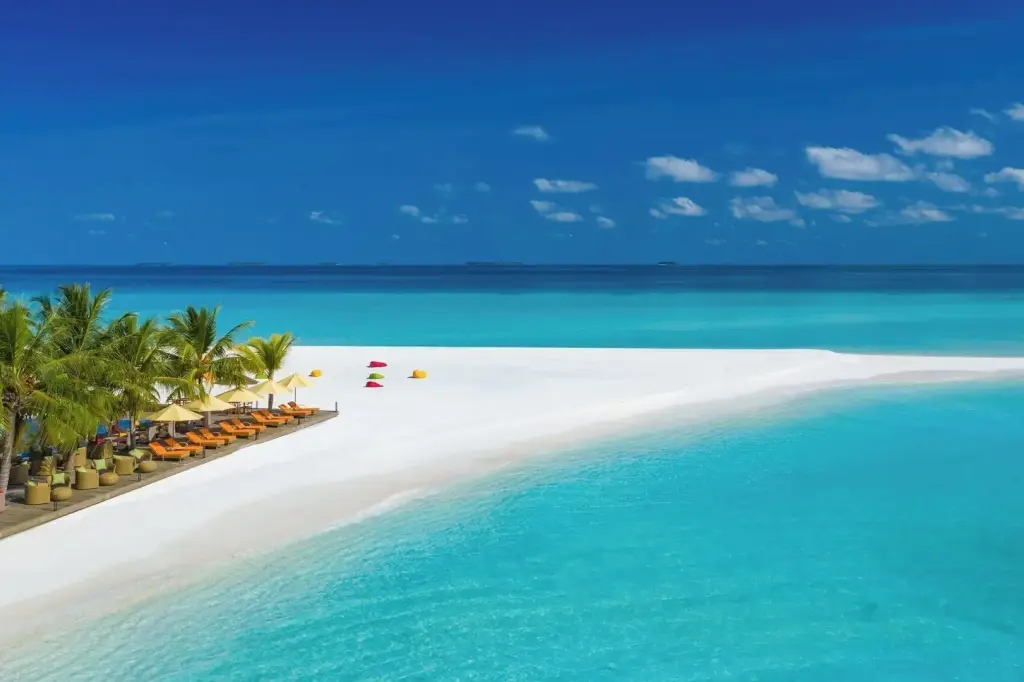 Dhigufaru Island Resort image 1