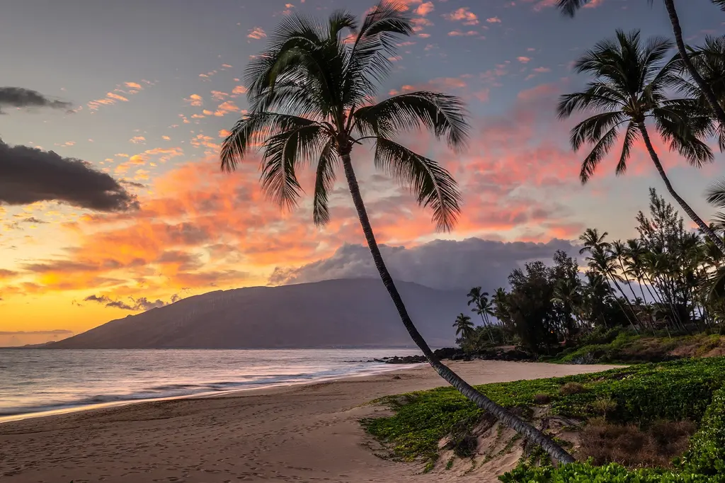 Royal Lahaina Resort & Bungalows image 6