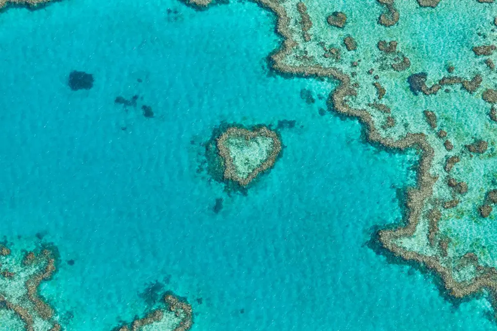 Reef View Hotel image 10