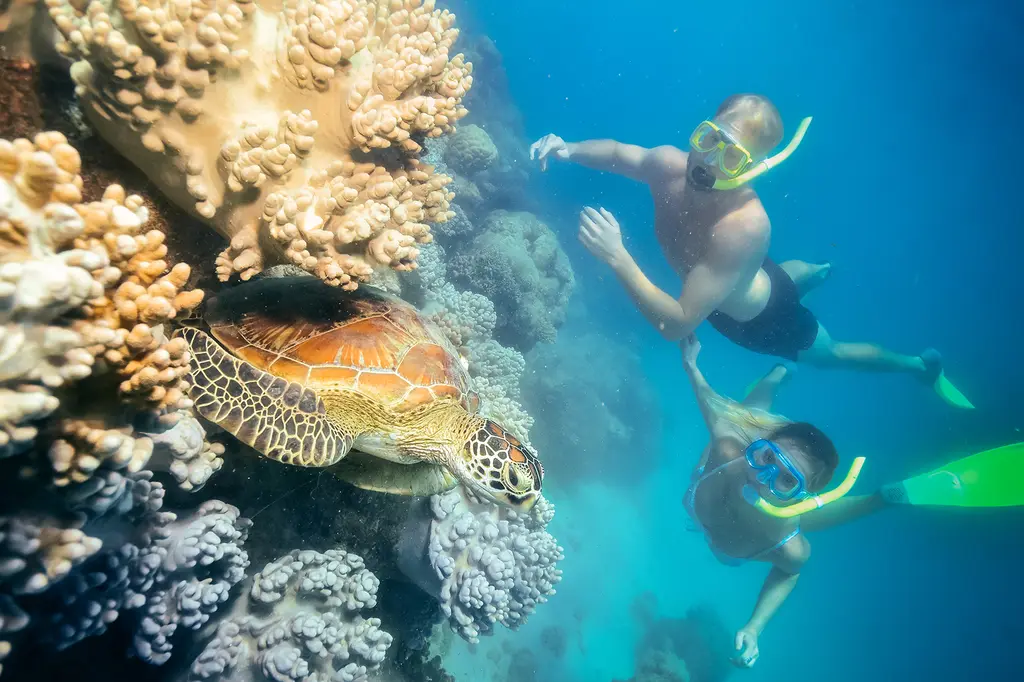 Green Island Resort image 13