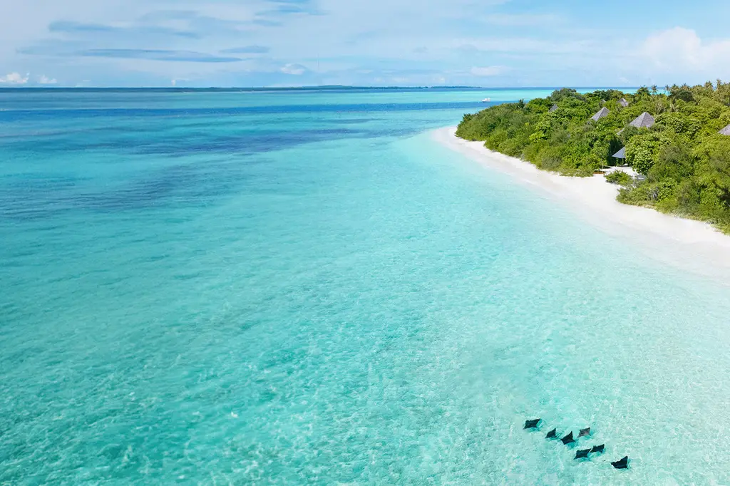 Hideaway Beach Resort & Spa image 2