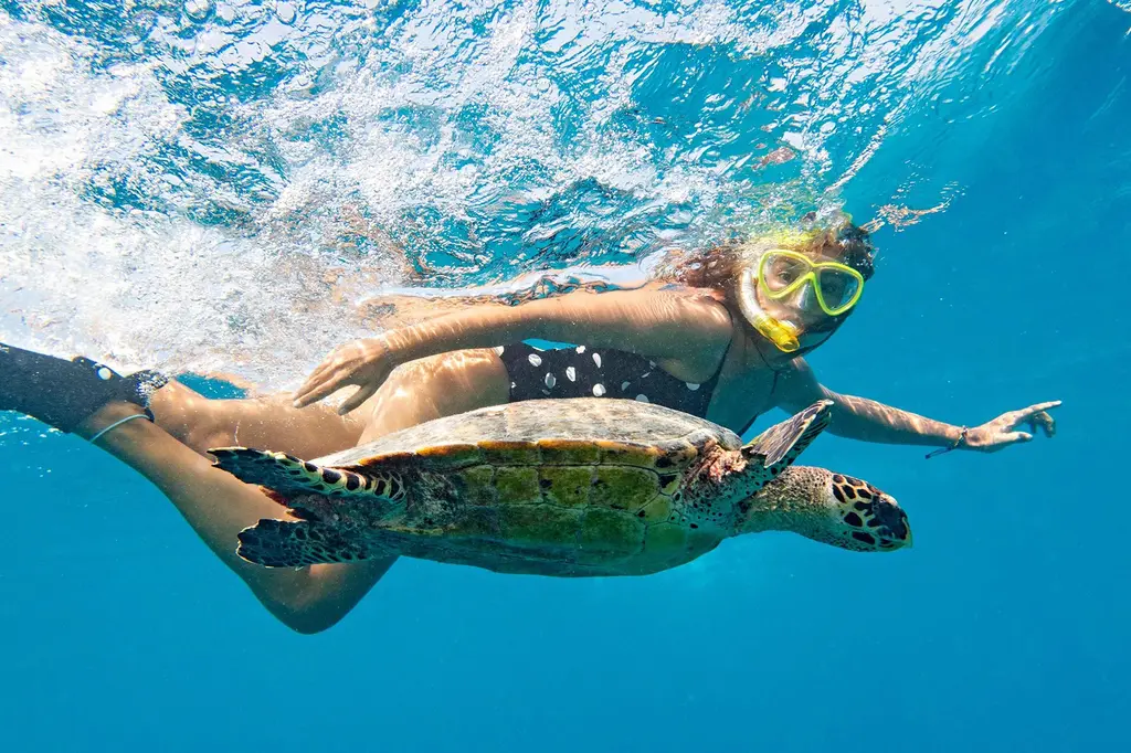 JA Manafaru image 17