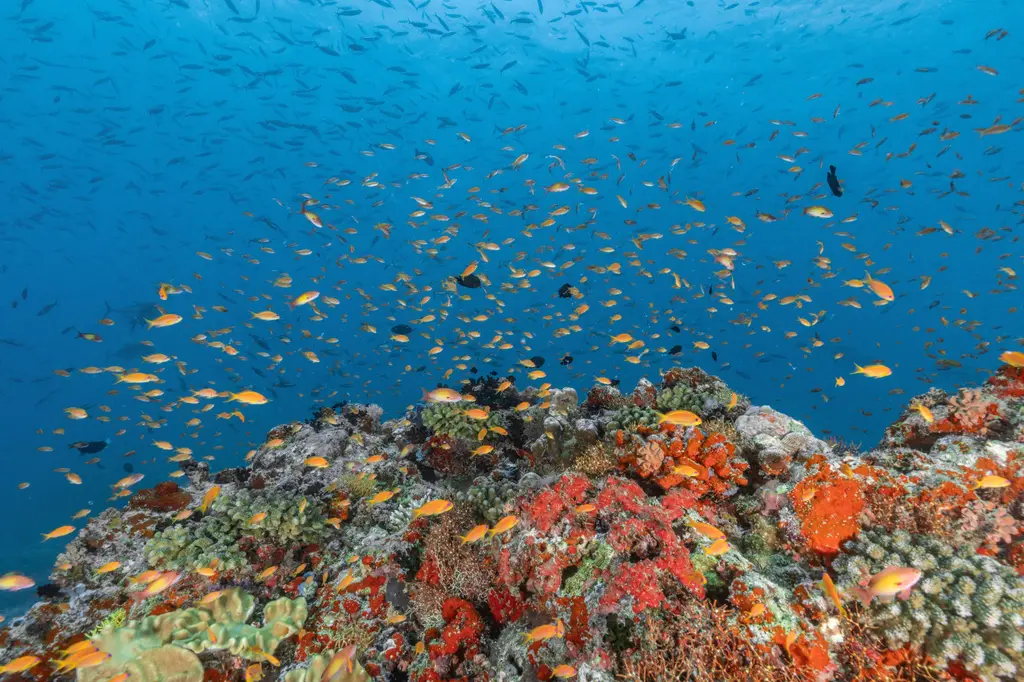 RAH GILI MALDIVES image 20