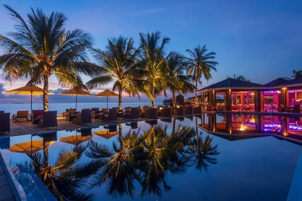 Dhigufaru Island Resort image 8